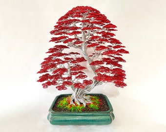 QuanBonsaiArt - Etsy
