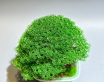 Wire Bonsai Tree With Green Leaves, Home Deco, Handmade