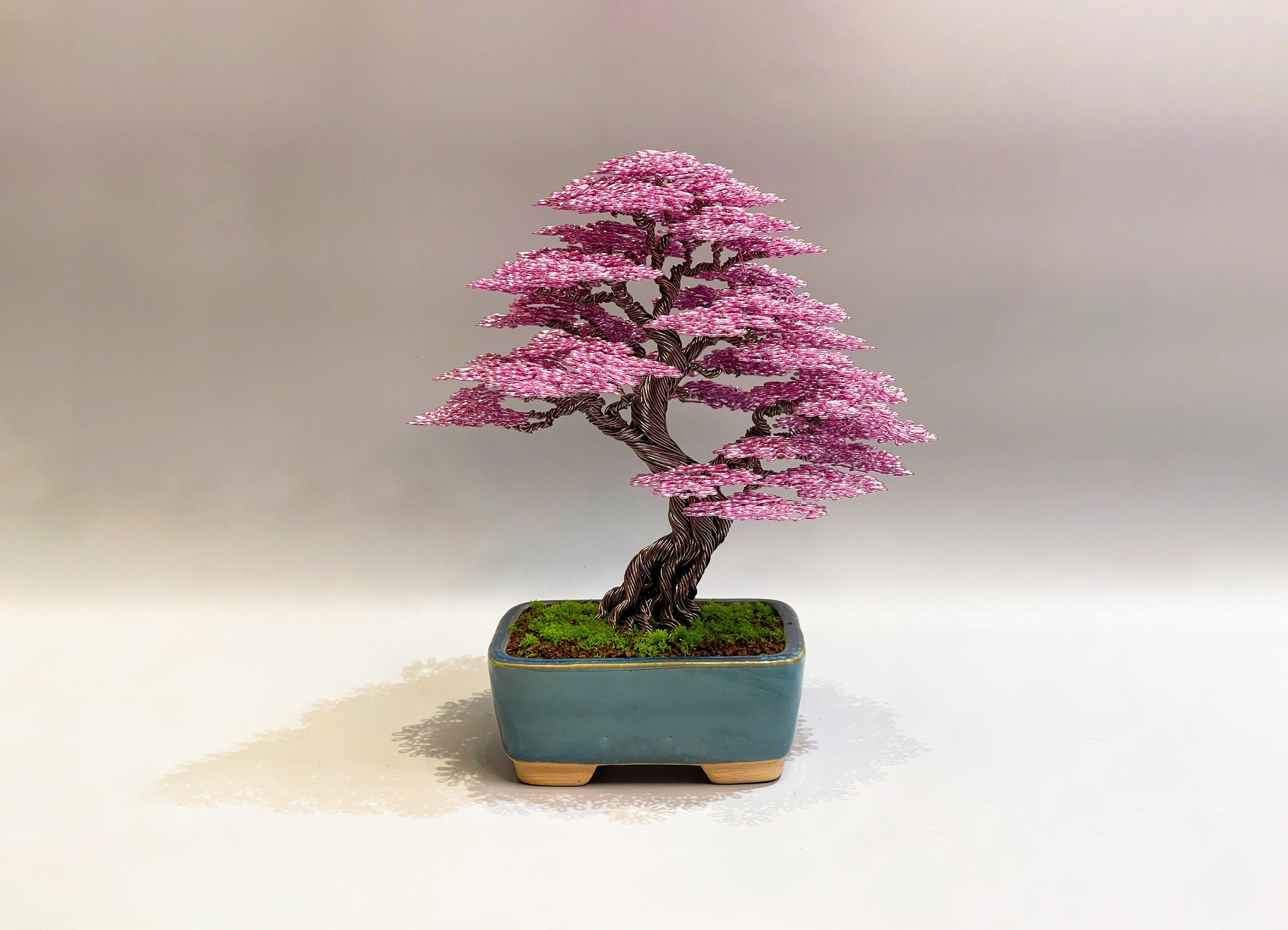 QuanBonsaiArt - Etsy