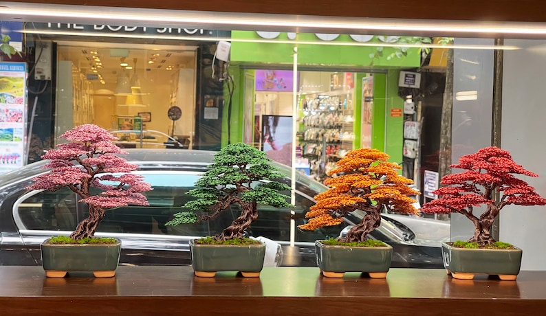 Puede incluir: Cuatro bons&aacute;is en cuentas de diferentes colores, rosa, verde, naranja y rojo, dispuestos en una fila en un estante de madera. Cada &aacute;rbol est&aacute; en una maceta de cer&aacute;mica verde oscuro.