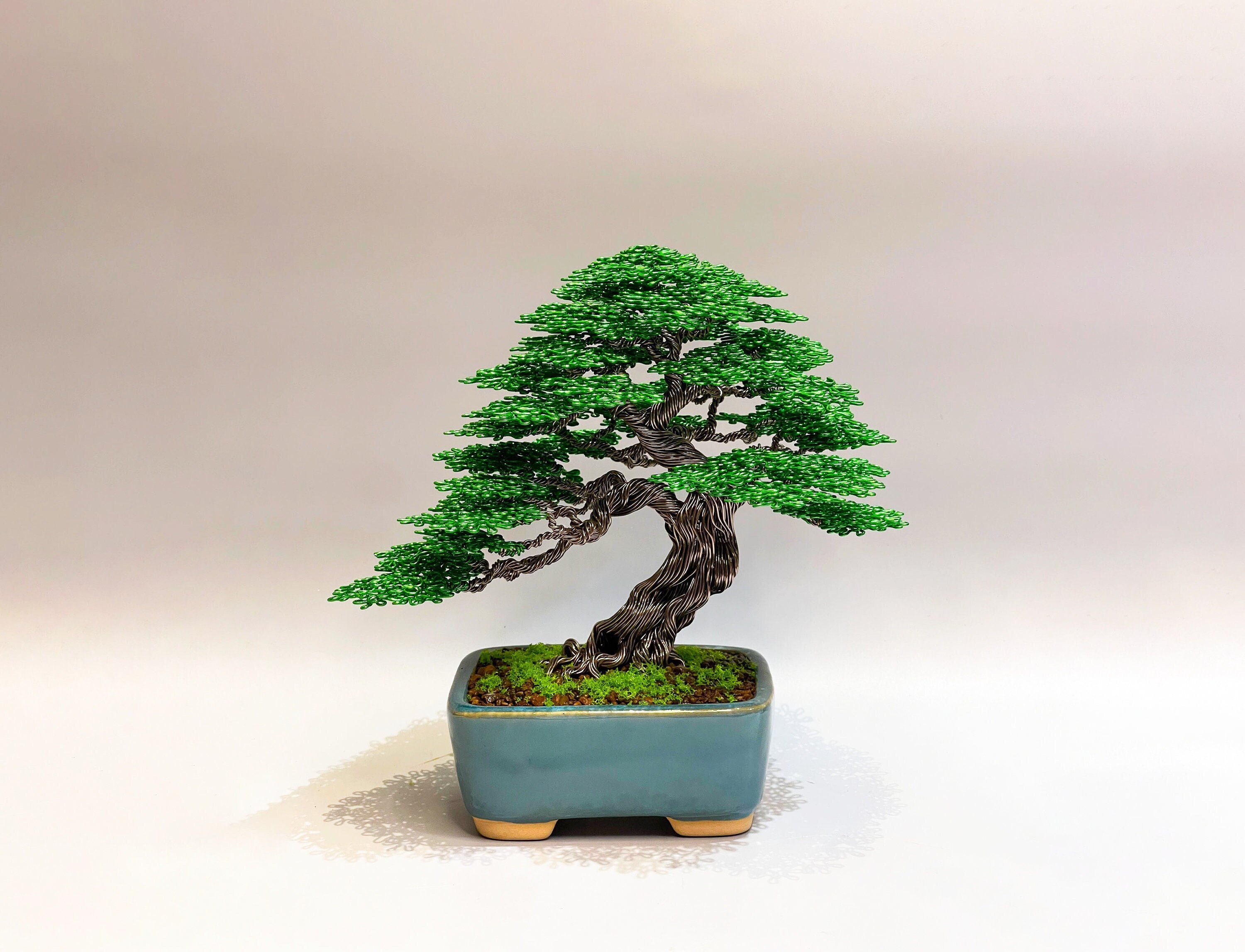QuanBonsaiArt - Etsy QuanBonsaiArt - Etsy