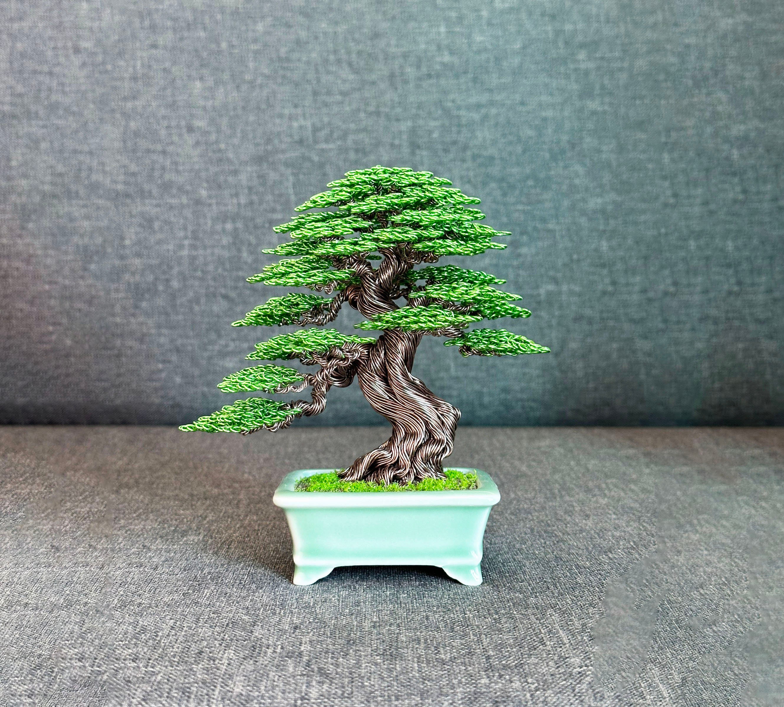 Bonsai Shelf Etsy