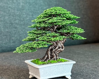 盆栽 jolly Japanese Holly Bonsai Tree | No. 17074 | New England Bonsai