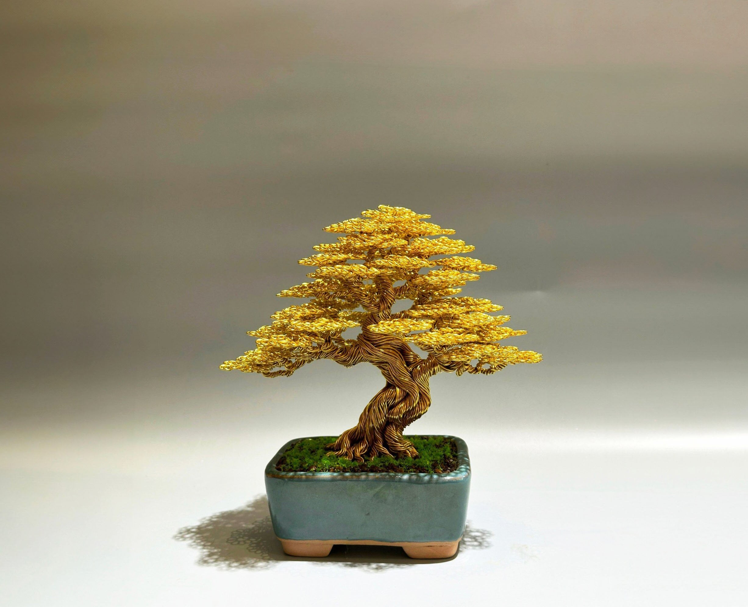 レビュー高評価商品 QuanBonsaiArt - Etsy 花