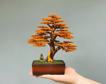 outdoor bonsai ahorn Bonsai fr drauen