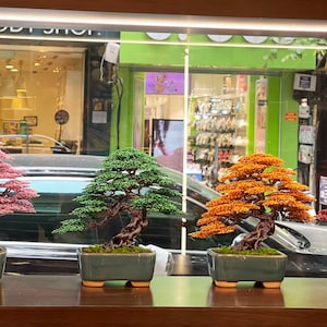 May include: Four bonsai trees in different colored beads, pink, green, orange, and red, in small green pots on a wooden surface.