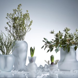 Small and Elegant - Frosted Vase for Modern Home Decor and Flower Arrangements