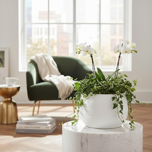 Ava White Matt Glaze Ceramic Indoor  Planter 31 x 25 cm