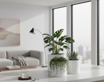 Chic Trio of White Ceramic Planters for Indoor Plants