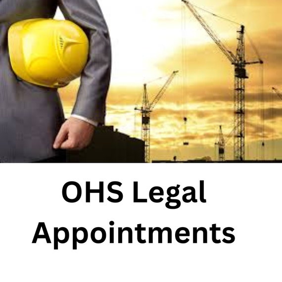 Chief Executive Officer 16(1) Appointment