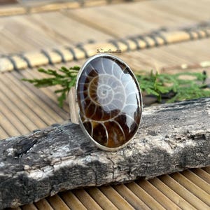 May include: Silver ring with an oval, polished fossil featuring a brown and white spiral pattern. The ring is set on a natural wooden surface. The fossil's intricate design is the main focus, with the silver band providing a contrast.