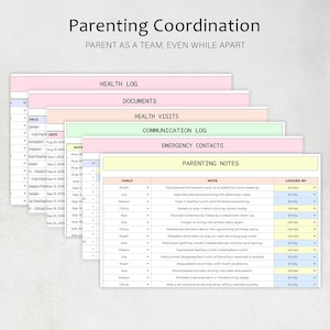 May include: A stack of colorful parenting coordination documents, including health logs, communication logs, and parenting notes. The documents are organized with headings and data fields for tracking information. The text "Parenting Coordination" is at the top.