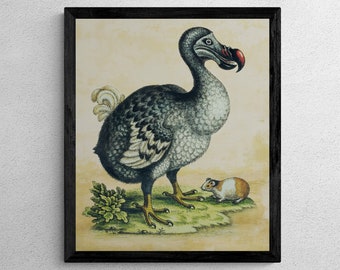 Dodo, Edwards Sculp, Printable Art, Bird Print, Vintage Birds, Bird Art, Birds Wall Decor, Botanical Prints, Digital Download, Love Birds