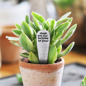 Merci de m'aider/nous aider à faire pousser des plantes