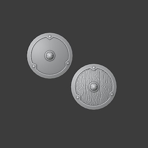 May include: Two grey, circular shields. One shield has a smooth surface with a central boss and rivets. The other shield has a wood grain texture, also with a central boss and rivets. Both shields are on a dark grey background.
