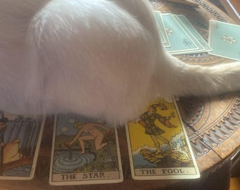 3 Question Tarot Reading | Detailed Same Day Psychic Reading | In-Depth Love, Career & Life Guidance |