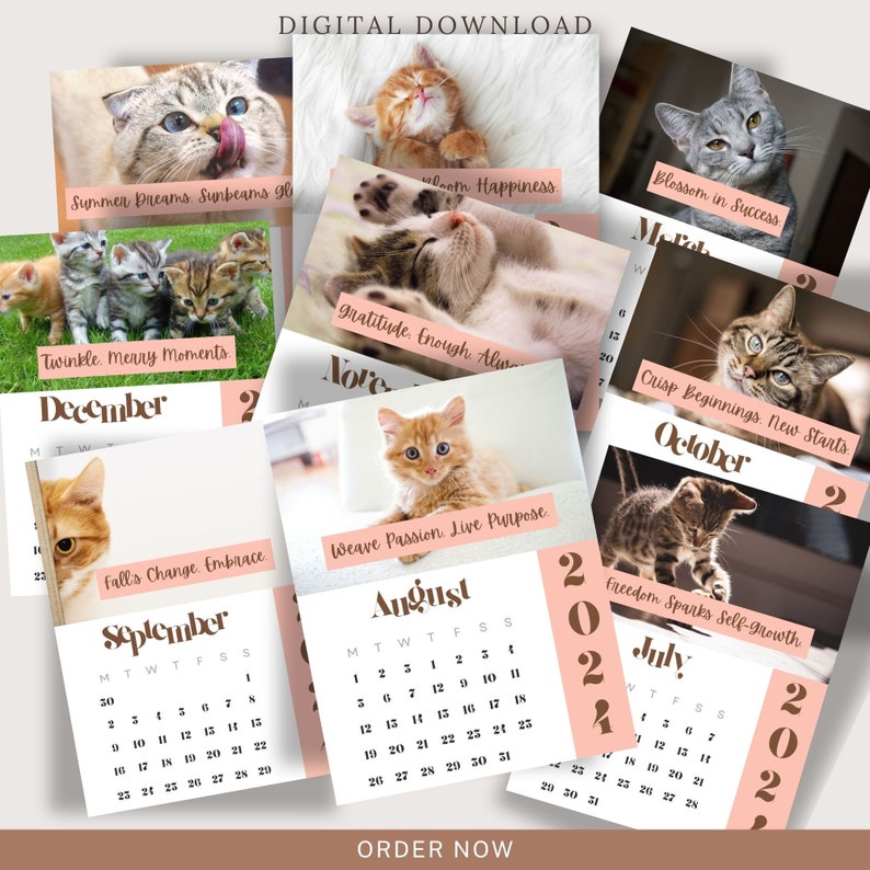 Cat Calendar 2024 Wall Calendar 2024 DIGITAL DOWNLOAD 2024 Funny
