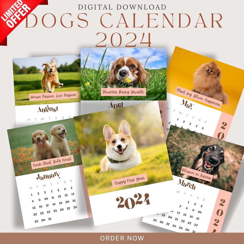 dog-calendar-2024-wall-calendar-2024-digital-download-2024-funny