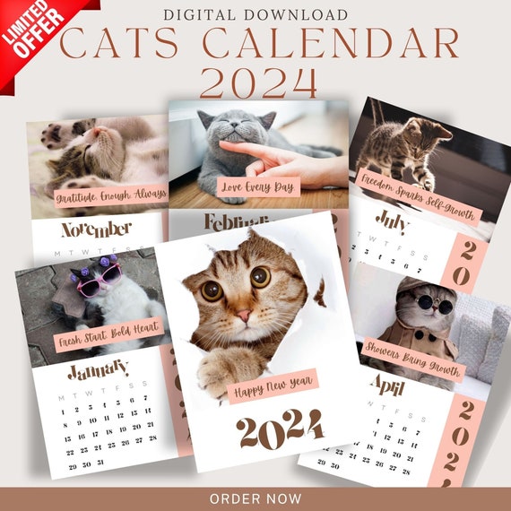 2024 Cats and Kittens Calendar