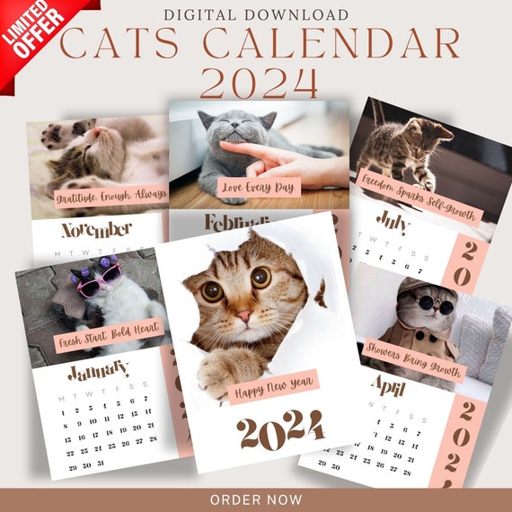 Cat Wall Calendar 2024, Printable Calendar, Funny Calendar, Cat