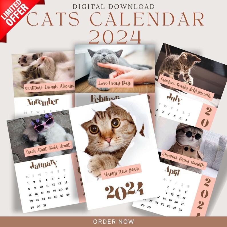 Cat Calendar 2024 Wall Calendar 2024 DIGITAL DOWNLOAD 2024 Funny