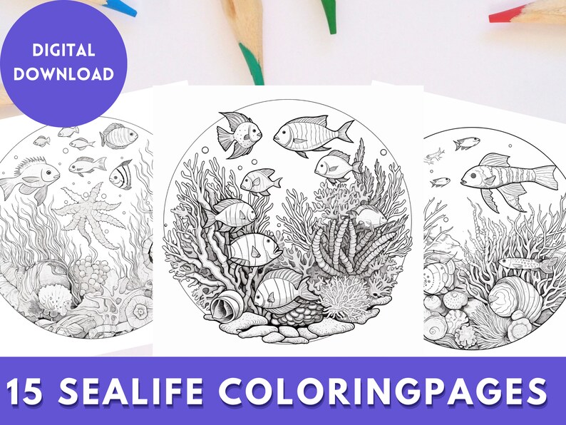 Sea Life Coloring Pages, Cute Underwater Coloring Scenes, Dolphin and