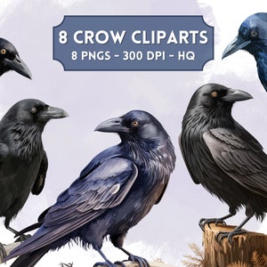 Crow Cliparts High Quality PNG Files for Print and your own Projects