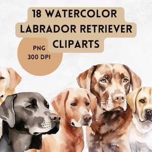 Labrador Retriever Watercolor Clipart Collection - detailed watercolor illustrations of cute Labrador Retrievers in various poses