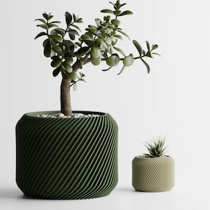 Pode incluir: Dois vasos de cerâmica verde e bege com um design em espiral. O vaso maior contém uma planta de jade, e o vaso menor contém uma suculenta.