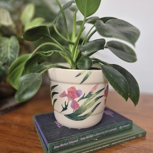 May include: A cream-coloured ceramic plant pot with a floral design of pink and purple irises and green leaves. The pot holds a plant with large green leaves. The pot sits on top of two books.