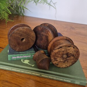 May include: Three circular dark brown wooden spools with a smooth finish and a central hole, arranged alongside a small wooden pointed tool. These items are resting on top of a green book titled Encyclopedia of Gardening for Colored Children.