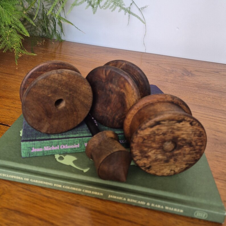 May include: Three circular dark brown wooden spools with a smooth finish and a central hole, arranged alongside a small wooden pointed tool. These items are resting on top of a green book titled Encyclopedia of Gardening for Colored Children.