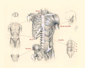 Figure Drawing Tutorial Ebook: Anatomy for Artists