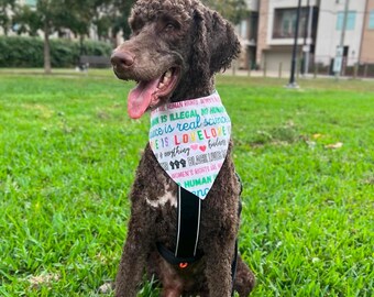 Kindness is Everything