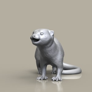 Otter 3D Model / Custom Otter Model for 3D Printing