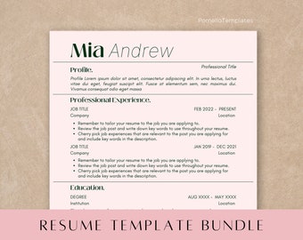 Resume Template Canva, Professional Resume Template, CV Professional, Modern Resume Template, Executive CV, Minimalist Resume