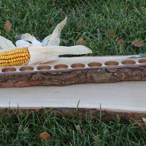 May include: A wooden tray with 10 round indentations, made from a natural tree branch. The tray is sitting on a larger piece of wood, with a corn cob and husk in the foreground.