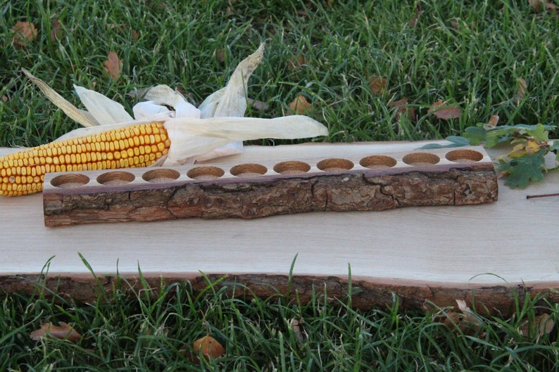 May include: A wooden tray with 10 round indentations, made from a natural tree branch. The tray is sitting on a larger piece of wood, with a corn cob and husk in the foreground.