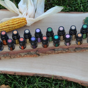 Stand with bark for essential oils (10+9) for doTerra or young living, oil bottle holder, organizer