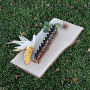 May include: A wooden stand with a natural bark finish holds a row of small glass bottles with colorful liquid inside. The bottles are arranged in a graduated size order, with the largest bottle at the top and the smallest bottle at the bottom. The stand is sitting on a wooden surface with a dried corn cob next to it.