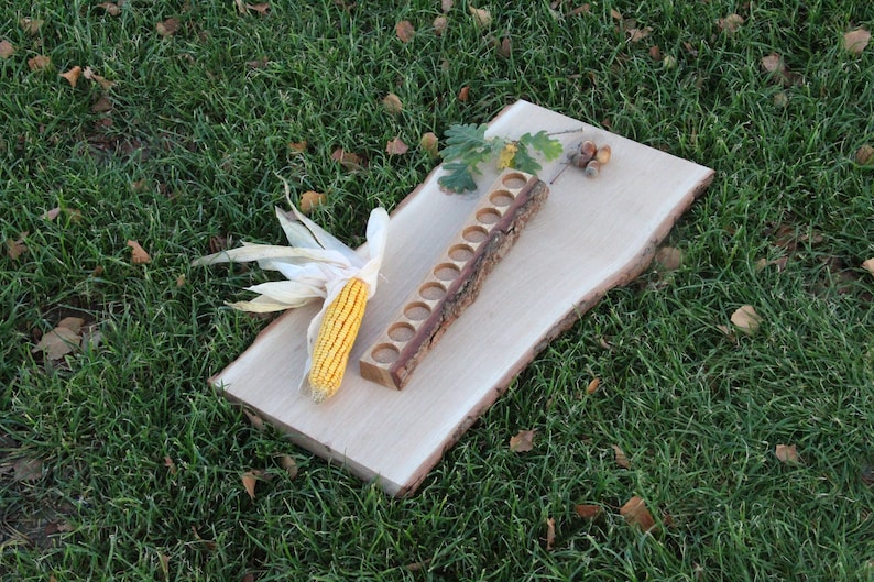 May include: A wooden tray with a row of small, round holes, a corn cob, and acorns on a wooden slab. The tray and slab are on a bed of green grass.