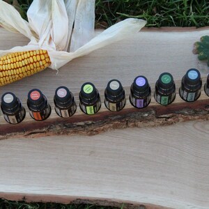 May include: A wooden essential oil holder with ten small glass bottles. The bottles are filled with colorful liquids and have black caps. The holder is on a wooden surface with a corn cob and husk in the background.