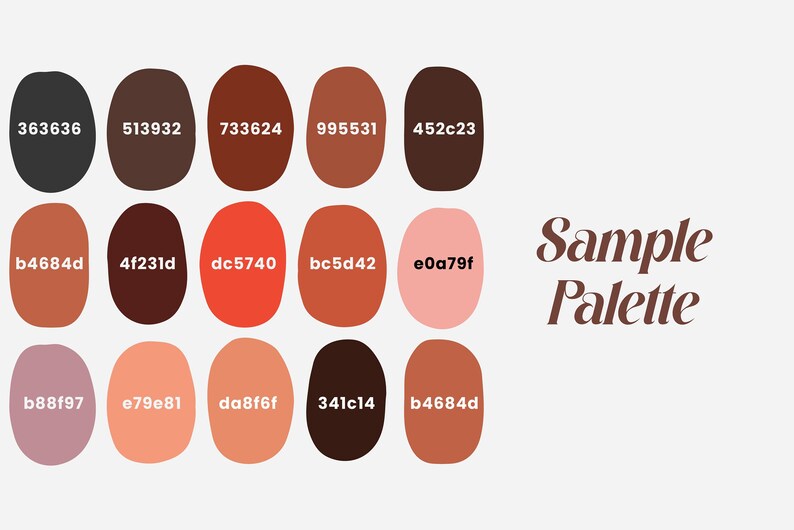 Curly Hair Color Palettes for Color Etsy