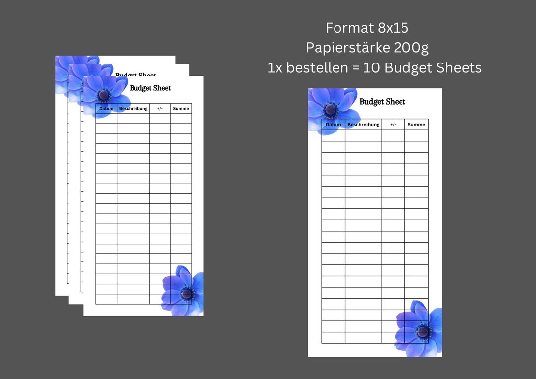 Budget Sheets Etsy