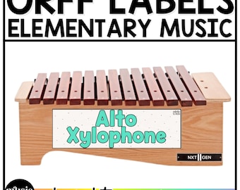 Bright Orff Instrument Labels Elementary Music Classroom Decor Music Posters