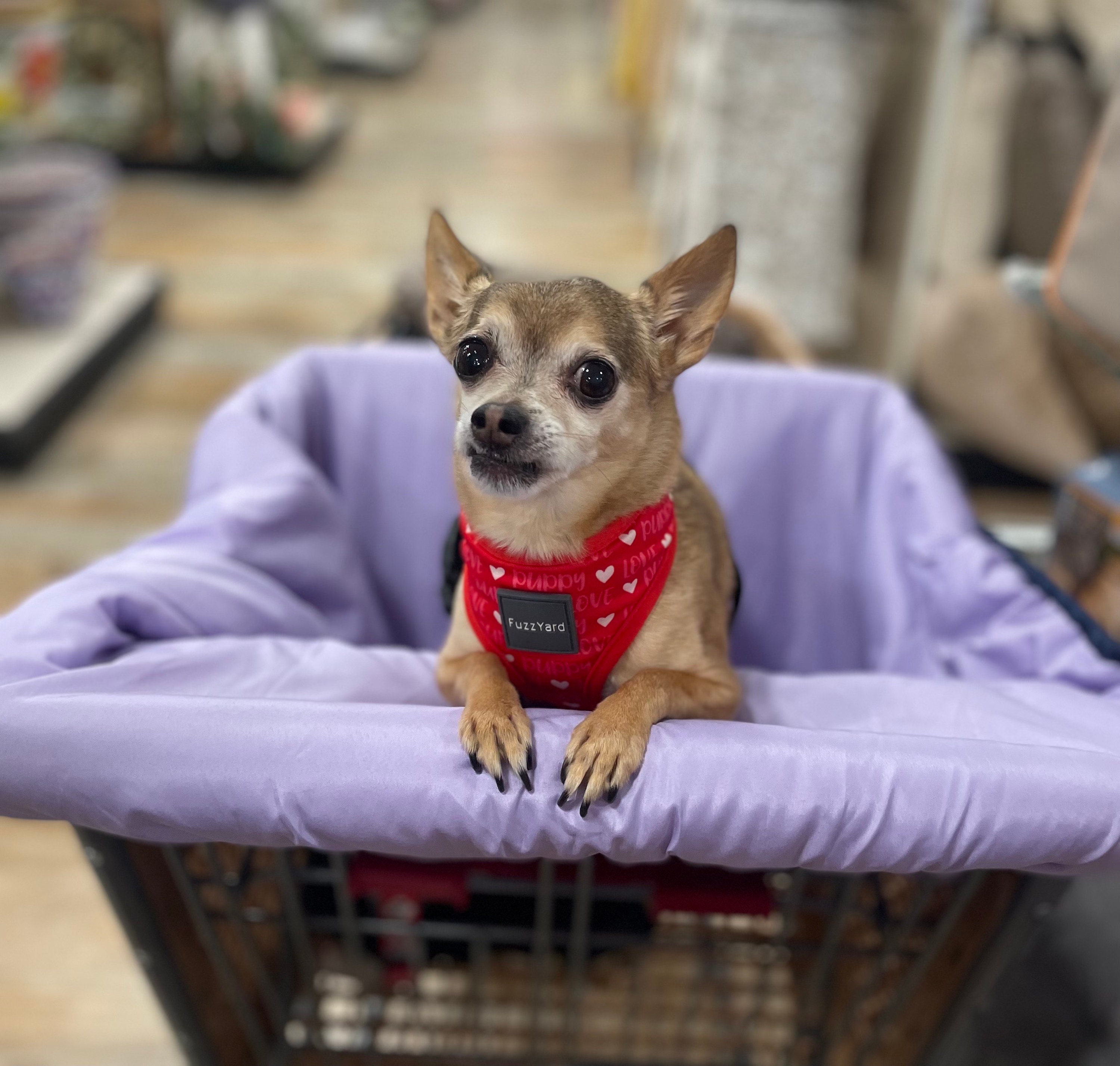 Pet/dog Shopping Cart Cover Etsy