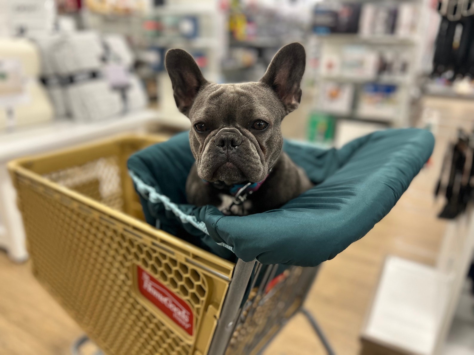 Pet/dog Shopping Cart Cover Etsy