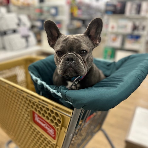 Pet/dog Shopping Cart Cover Etsy