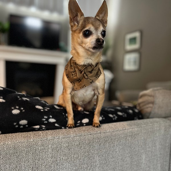 Dog Bandana