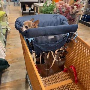 Pet Shopping Cart Cover (New Denim color)
